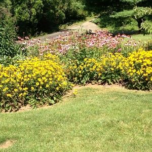 Meet your Posher, Lora